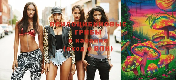 МДПВ Бугульма