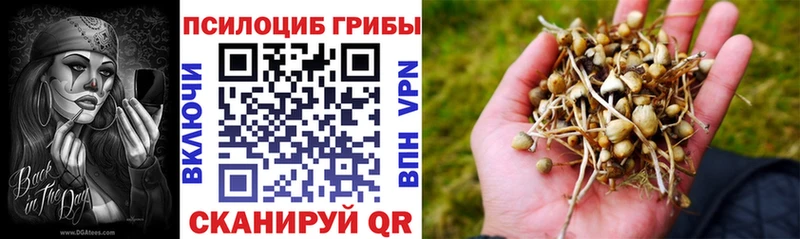 Псилоцибиновые грибы Psilocybine cubensis Назарово